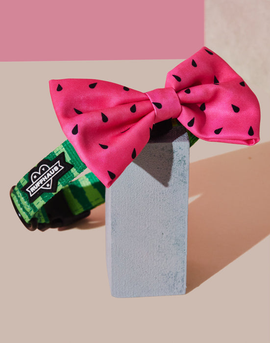 What-A-Melon Collar & Bowtie RUFFHAUS NYC