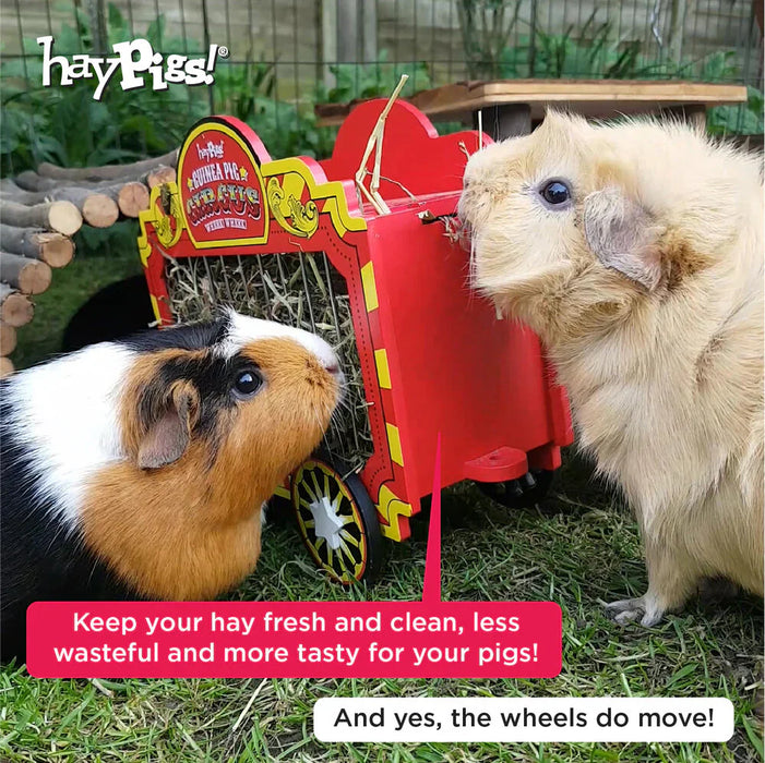 Haypigs Wheek Wagon - Hay Hopper