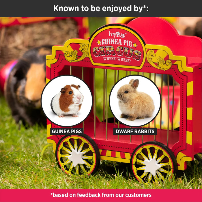 Haypigs Wheek Wagon - Hay Hopper