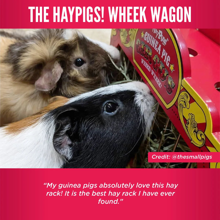 Haypigs Wheek Wagon - Hay Hopper
