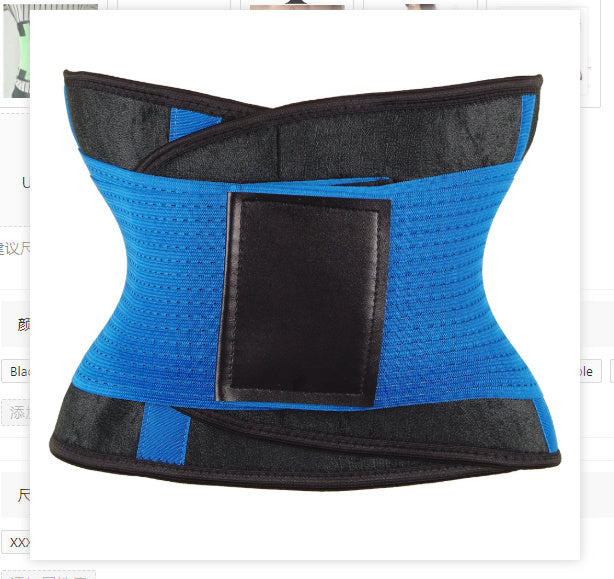 Waist Trimmer Belt - Snatched Including Plus Size