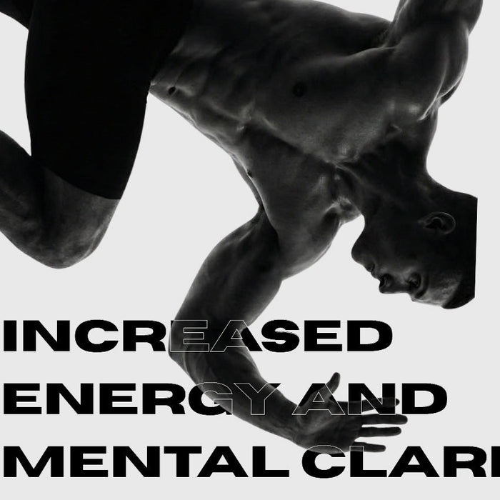 Pure Mongolian Shilajit Resin