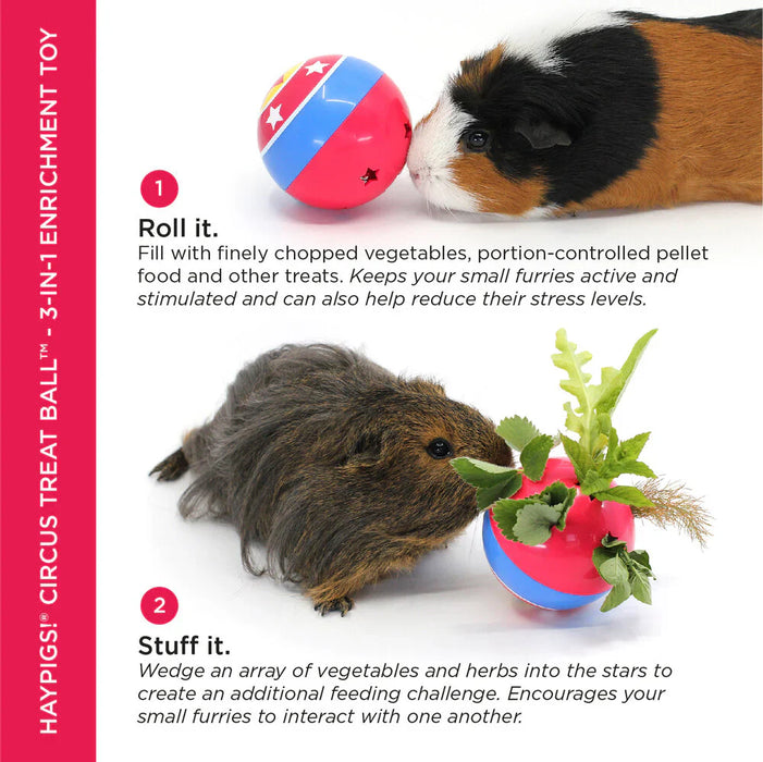 HayPigs Circus Treat Ball 3-in-1 Enrichment Toy