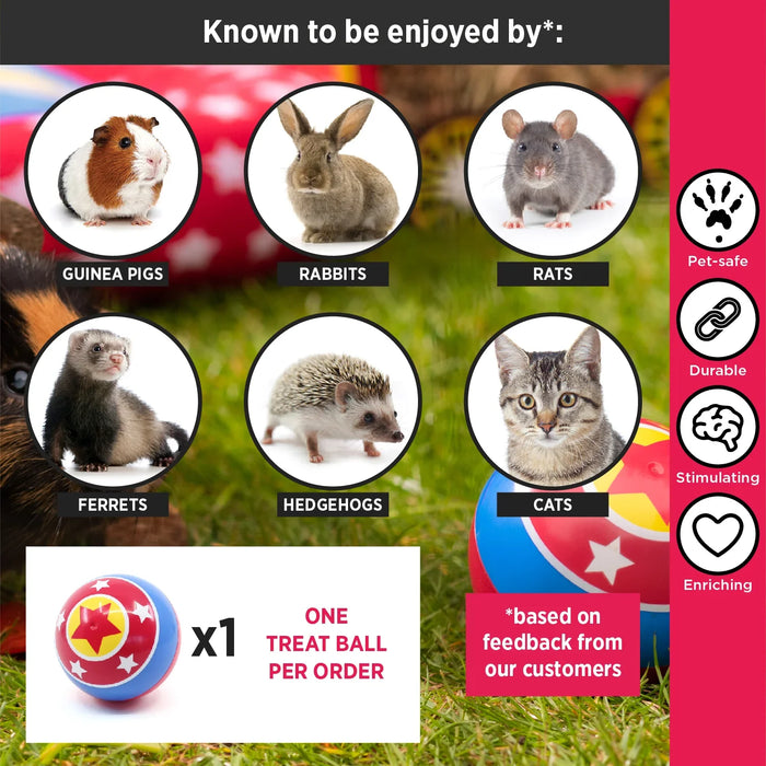 HayPigs Circus Treat Ball 3-in-1 Enrichment Toy