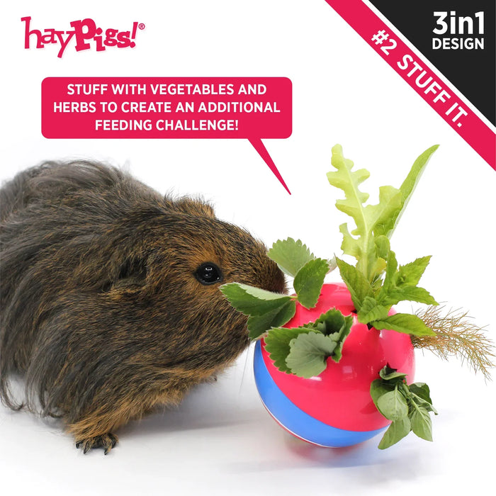 HayPigs Circus Treat Ball 3-in-1 Enrichment Toy