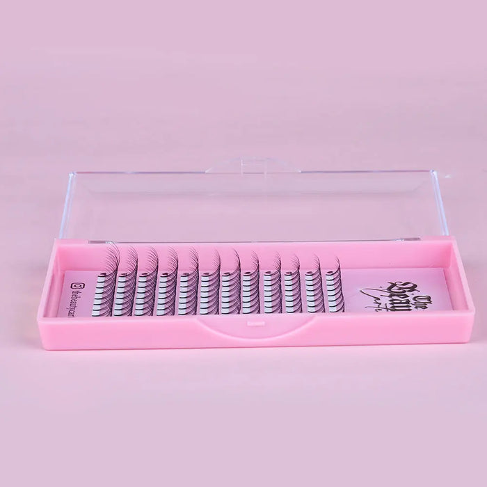 5D D Curl Premade Lash Trays The Beauty Cartel Au