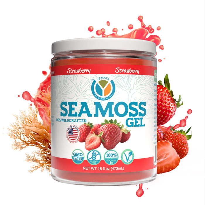 Sea Moss Gel - 16oz Wildcrafted