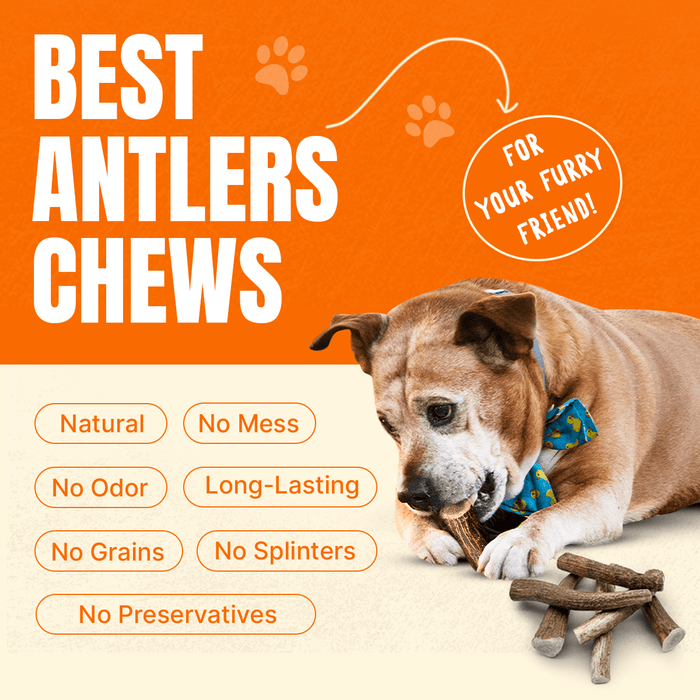 Natural Antlers for Dogs – Durable Grade A Chews for Aggressive Chewers