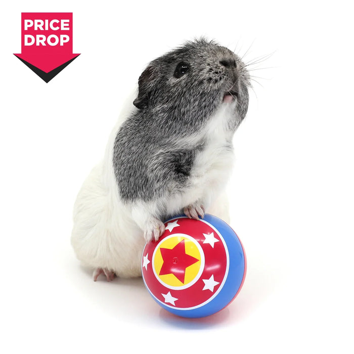 HayPigs Circus Treat Ball 3-in-1 Enrichment Toy