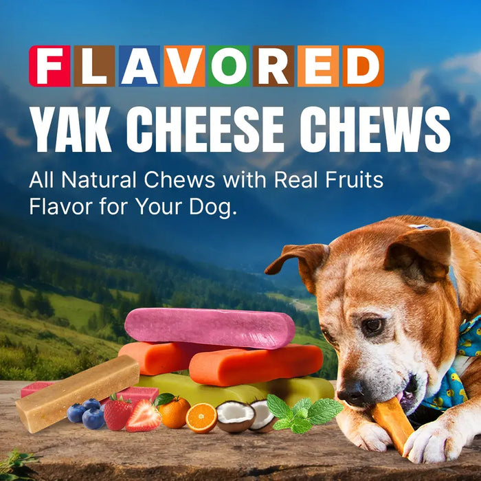 Flavored Yak Cheese Chew for Dogs - Natural & Long-Lasting Tasty Treats
