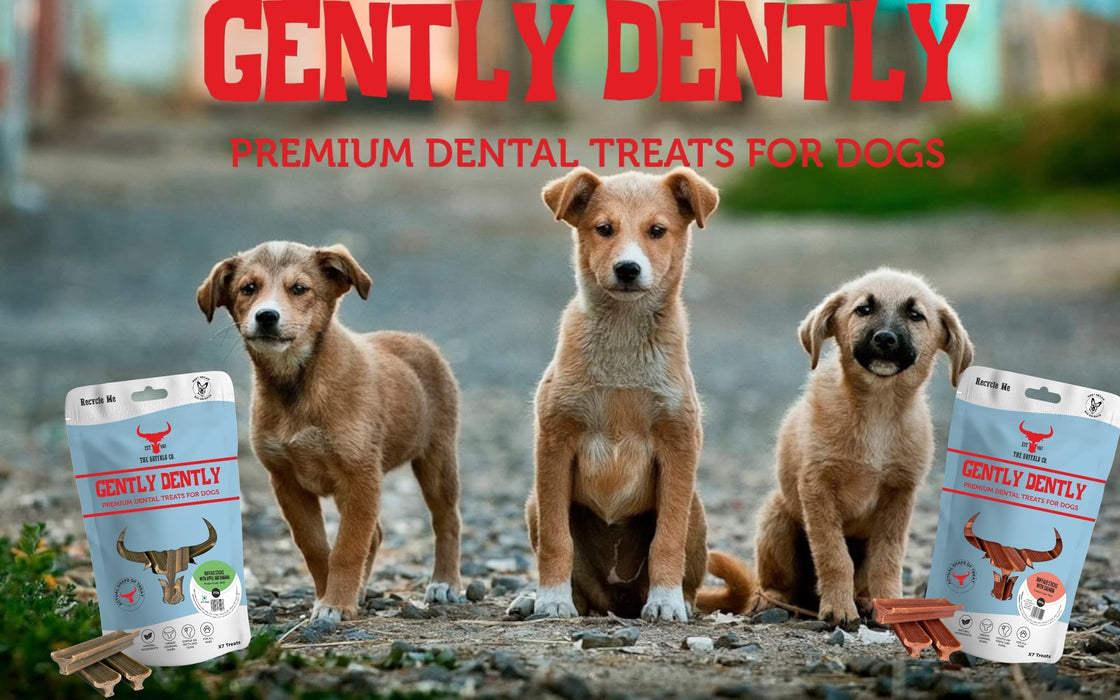 Gently Dently- Fresh Breath Mint Dental Treats for Dogs 175g
