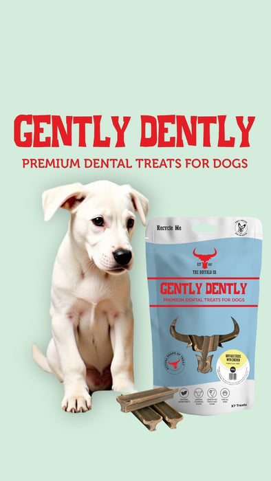 Gently Dently- Fresh Breath Mint Dental Treats for Dogs 175g