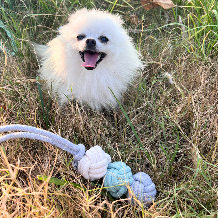 Mint Ice Cream Rope Balls Puppy Tug Toy Knotty Pawz