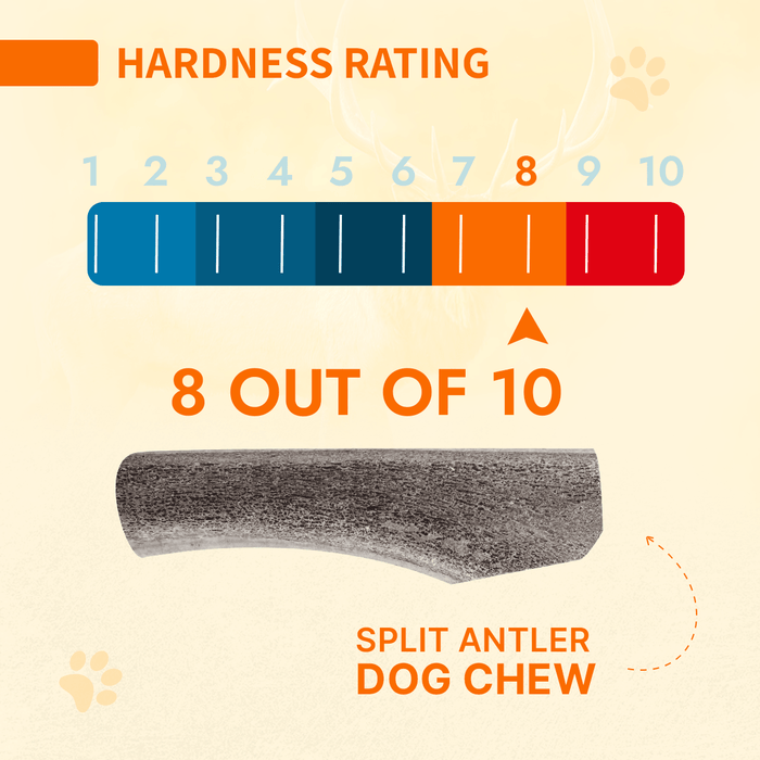 Natural Antlers for Dogs – Durable Grade A Chews for Aggressive Chewers