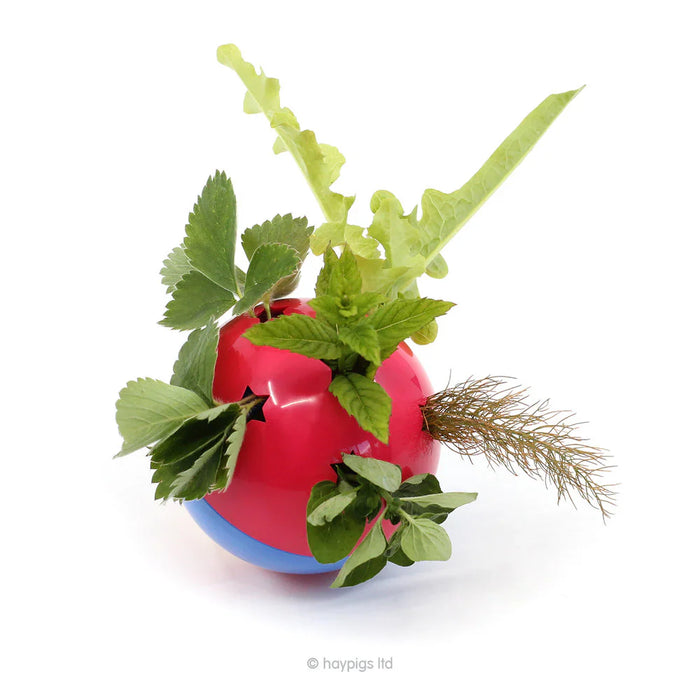HayPigs Circus Treat Ball 3-in-1 Enrichment Toy
