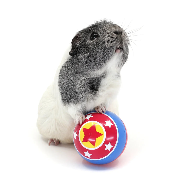 HayPigs Circus Treat Ball 3-in-1 Enrichment Toy