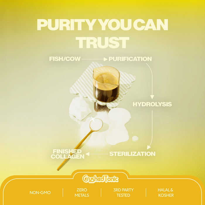 Organic Lucuma Sugar-Free Sweetener Collagen