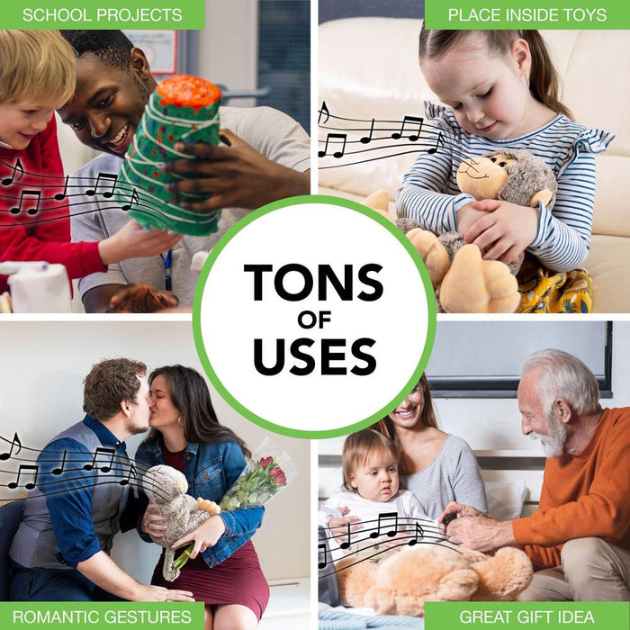 Friendly Songs Sound Module - 2 Hour Voice Box for Stuffed Animals