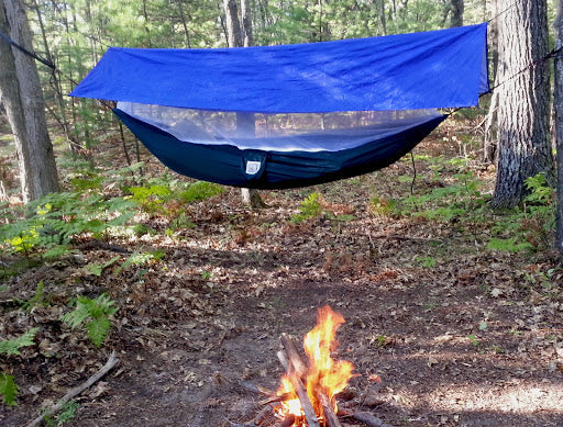 Mosquito Free