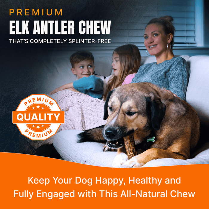 Natural Antlers for Dogs – Durable Grade A Chews for Aggressive Chewers