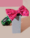 What-A-Melon Collar & Bowtie RUFFHAUS NYC