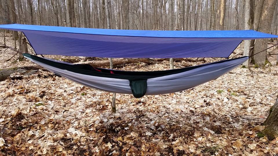 Mosquito Free