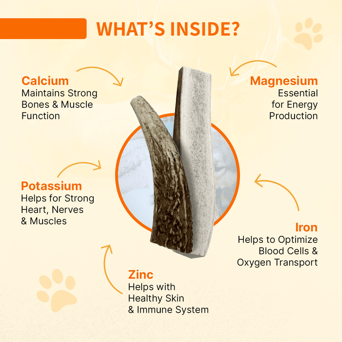Natural Antlers for Dogs – Durable Grade A Chews for Aggressive Chewers
