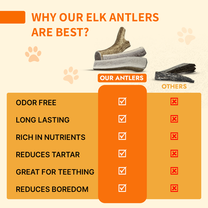 Natural Antlers for Dogs – Durable Grade A Chews for Aggressive Chewers