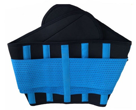 Waist Trimmer Belt - Snatched Including Plus Size