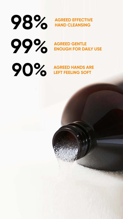 Exfoliating Hand Wash With Dead Sea Minerals 500ml Salt And Mud